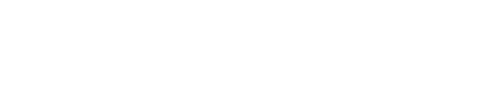 ds fasteners logo white